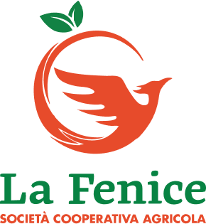 I nostri confezionatori: La Fenice società cooperativa agricola