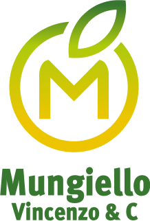 I nostri confezionatori: Mungiello Vincenzo &C