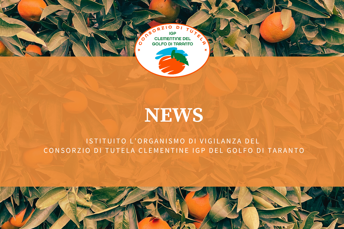 istituito l’Organismo di Vigilanza del Consorzio di Tutela Clementine IGP del Golfo di Taranto