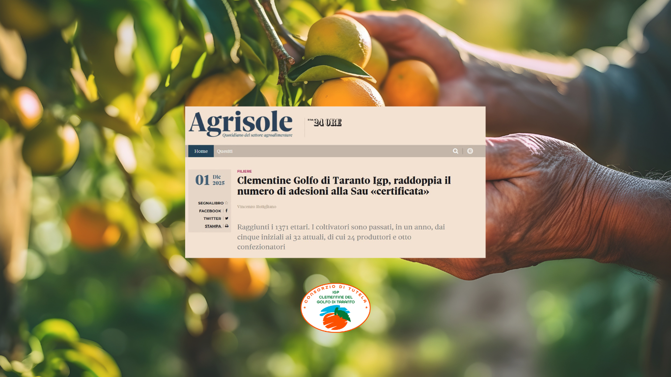 Clementine su Agrisole